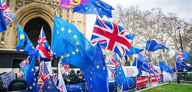 Pharmabranche fürchtet chaotische Zustände nach Brexit Demonstranten vor der gestrigen Abstimmung über das Brexit-Abkommen.