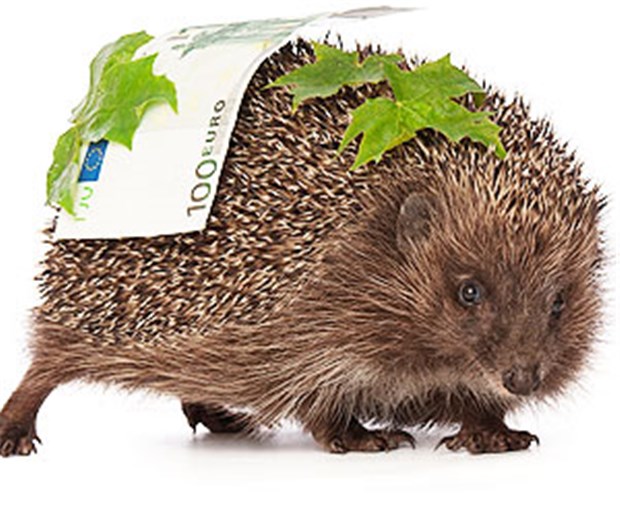 Werden IGeL zu aggressiv beworben? Den Igel finden alle putzig, doch an IGeL scheiden sich die Geister.