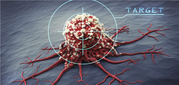 Den Krebs im Blick: Die Deutsche Krebshilfe fördert Grundlagen-, klinische und Versorgungsforschung.