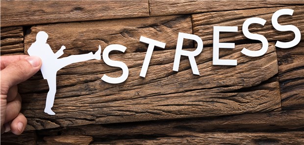 Stress macht die Knochen morsch Den Stress am besten wegkicken: Gelingt das nicht, kann er offenbar auf die Knochen gehen.