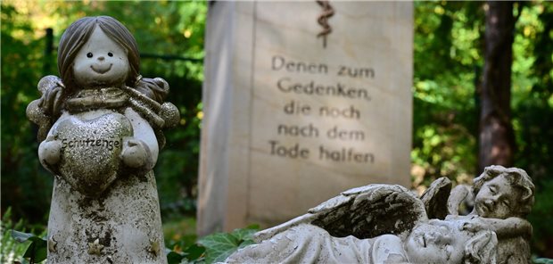 Mitteldeutsche Medizin-Fakultäten sehen hohe Bereitschaft zu Körperspenden „Denen zum Gedenken, die noch nach dem Tode halfen“ steht auf der Stele auf einer Grabstätte für die Körperspender der Anatomie auf dem Jenaer Nordfriedhof. Die Medizinfakultäten in Thüringen, Sachsen und Sachsen-Anhalt beobachten eine hohe Bereitschaft zu Körperspenden.