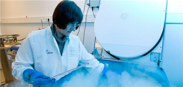 Kasse muss Kryokonservierung erst ab 2021 zahlen Der Anspruch gesetzlich Krankenvericherter auf Kryokonservierung ihrer Ei- oder Samenzellen wurde zwar MItte 2019 ins SGB V aufgenommen. Doch erst neun Monate später, ab 20. Februar 2021, besteht dieser Anspruch tatsächlich.
