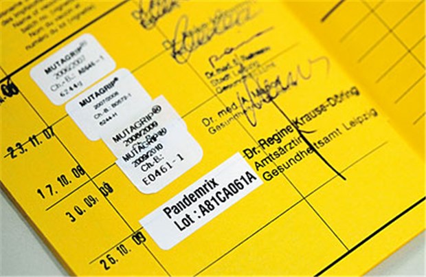 Ernst oder harmlos? Daten zu Schweinegrippe lassen beide Schlüsse zu Der Besitzer dieses Impfausweises gehört in Deutschland zu einer Minderheit. Nur etwa zehn Prozent der Menschen ließen sich gegen Schweinegrippe impfen. © dpa