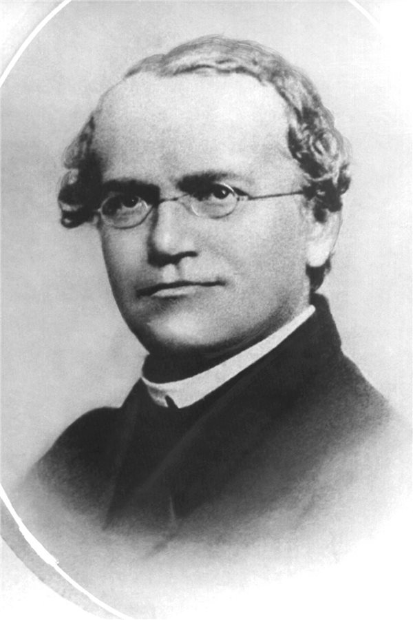 200 Jahre Gregor Mendel: Das Geheimnis der Gartenerbse Der Botaniker Gregor Johann Mendel (1822-1884). Die von ihm formulierten Regeln der Vererbungslehre wurden zur Grundlage für Forschung, Theorie und angewandte Biologie (undatiertes Archivbild).