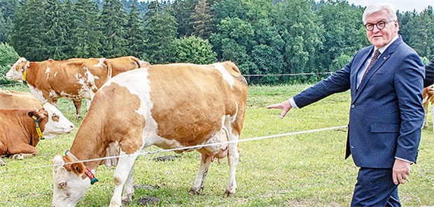 Stadt und Land haben sich auseinanderentwickelt Der Bundespräsident auf dem Land: Steinmeier entdeckt Kühe.