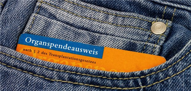 Organspende: Bundesrat fordert Gesetz zur Einführung der Widerspruchslösung Organspendeausweis in der Hosentasche einer Jeans