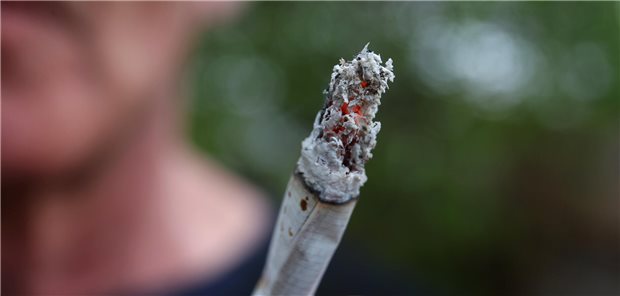Stöver: Prohibitionspolitik bei Cannabis ist gescheitert Der Bundestag hat die kontrollierte Cannabis-Freigabe bereits beschlossen. Der Bundesrat will an diesem Freitag darüber beraten.