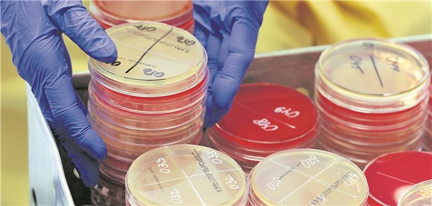 Der EBM bietet jetzt mehr Diagnostik-Positionen, um über die Antibiotikatherapie zu entscheiden.