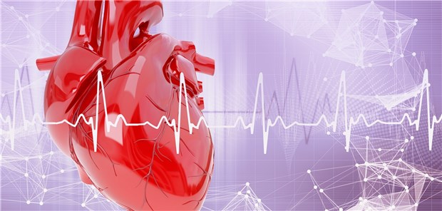 Der EKG-Algorithmus könnte bei Patienten mit kryptogenem Schlaganfall nützen, um Vorhofflimmern zu erkennen.