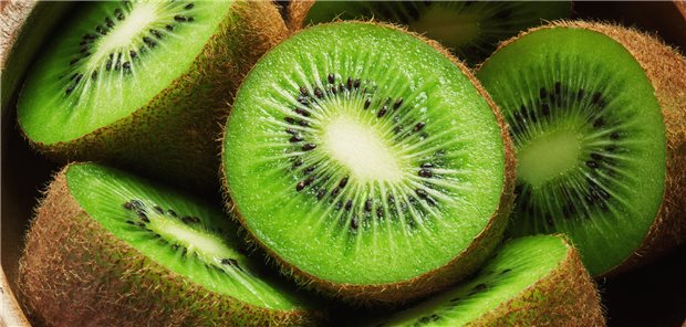 Chronische Verstopfung: „Versuchen Sie es mit grünen Kiwis!“ Der Effekt der Kiwi-Therapie war bei den Obstipierten am größten, mit einer klinisch relevanten Steigerung um median eineinhalb Stuhlentleerungen wöchentlich im Vergleich zu vorher – signifikant mehr als in der Gruppe, die Flohsamenschalen erhalten hatte (+ 0,7 Entleerungen wöchentlich). Auch die Reizdarmgruppe hatte sich mit Kiwis im Vergleich zu Flohsamen signifikant gesteigert, aber nicht so stark. Keinen nennenswerten Effekt hatte die Intervention in der gesunden Gruppe.