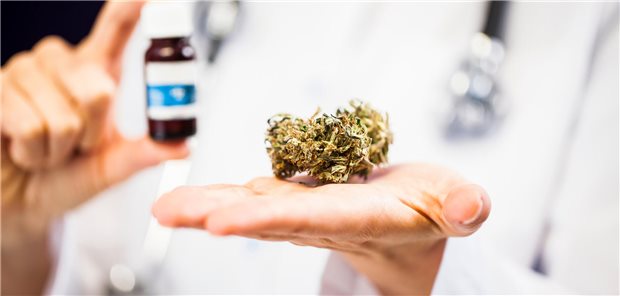 Der Gemeinsame Bundesausschuss hat die ärztliche Verordnung von medizinischen Cannabinoiden bei schwerwiegenden Erkrankungen erleichtert.
