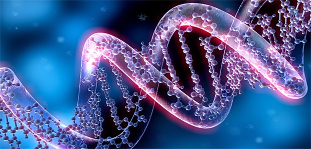 Ob eine Chemo nötig ist, steht in den Genen Der Gentest Oncotype-DX berücksichtigt 21 Gene.