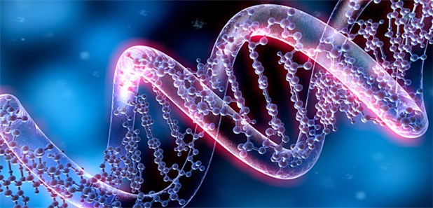 Ob eine Chemo nötig ist, steht in den Genen