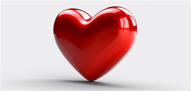 Ein Herz im 3-D-Modell