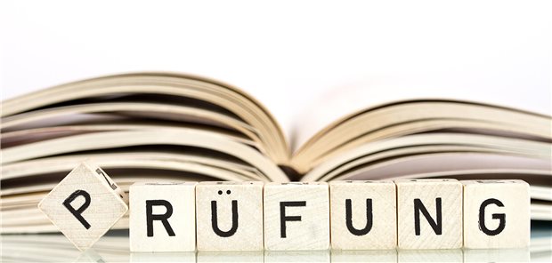 Der Gesundheitsausschuss hört Sachverständige zu einem Gesetzentwurf an, mit dem die Anerkennung von Berufsqualifikationen ausländischer Ärzte beschleunigt werden soll.