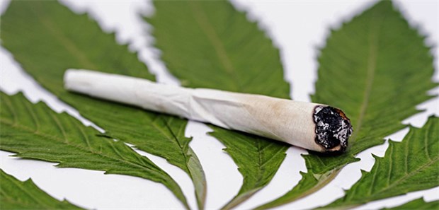 Cannabis schädigt wohl doch Herz und Hirn Der Griff zum Joint ist offenbar doch gefährlicher als angenommen.
