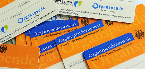 Immer mehr Bürger sehen Organspenden positiv Der Großteil der Bundesbürger steht der Organspende offen gegenüber, viele haben aber dennoch keinen Organspendeausweis.