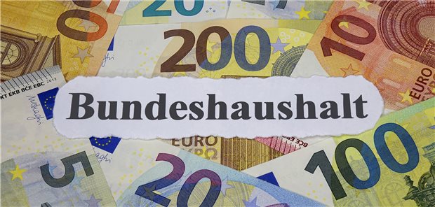 Der Haushalt des Bundesgesundheitsministeriums soll sich im laufenden Jahr Ausgaben auf 52,59 Milliarden Euro belaufen.