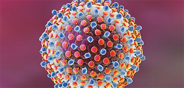RKI will Bewusstsein stärken Der Hepatitis C-Virus gehört nach wie vor zu den häufigsten Erregern weltweit. Afrika und Asien sind am stärksten betroffen.