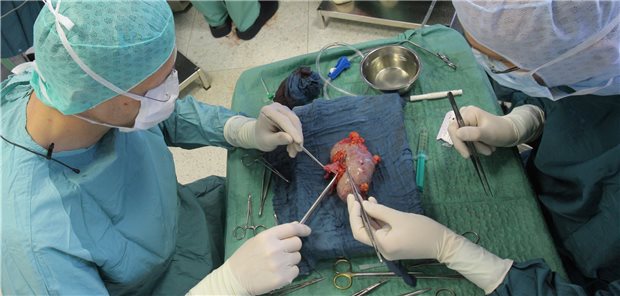 Auch Op mit erschlichener Spender-Leber verdient Honorar Der Honoraranspruch einer Klinik in Sachen Organtransplantation richtet sic h nach dem medizinischen Erfordernis – nicht danach, ob der Empfänger seinen Platz auf der Warteliste zu recht oder unrecht eingenommen hat.