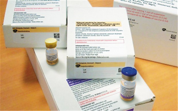 Diskussion um Schweinegrippe-Impfstoffe geht weiter Der Impfstoff Pandemrix® wird je in zwei Fläschchen geliefert: Antigen und Adjuvans werden in der Arztpraxis gemischt.