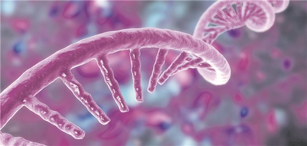 Bild eines mRNA-Strangs