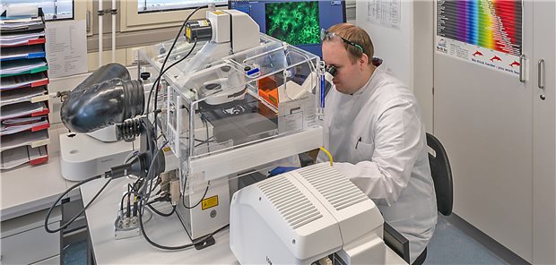 Wie Göttinger Forscher einen potenziellen Coronavirus-Wirkstoff fanden Der Infektionsbiologe Dr. Markus Hoffmann hat für die Studie viele Stunden im Labor verbracht.