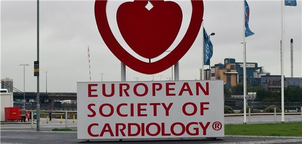 Der Jahreskongress der European Society of Cardiology wird in diesem Jahr nur virtuell stattfinden (Archivbild).