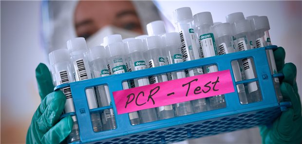 Stabile COVID-Quote: Jeder zweite PCR-Test positiv Der Laborverband ALM meldet eine Positivrate von 53,3 Prozent bei PCR-Testungen auf COVID-19.