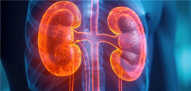 Der Nephrologe Prof. Jürgen Floege von der Uniklinik RWTH Aachen rät beim 18. Allgemeinmedizin-Update-Seminar in Mainz davon ab den RAS-Blocker abzusetzen wenn der Kaliumspiegel des Patienten ansteigt, da so weder die eGFR verbessert noch das Hyperkaliämierisiko gesenkt wird.