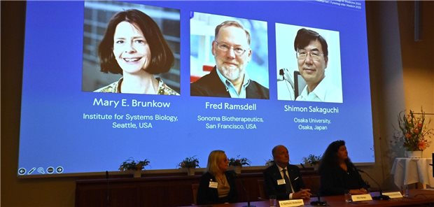 Medizin-Nobelpreis für Entdeckung der peripheren Immuntoleranz Ein Bildschirm zeigt die Fotos von Mary E. Brunkow, Fred Ramsdell und Shimon Sakaguchi, denen der Nobelpreis für Medizin oder Physiologie verliehen wurde, bei der Nobelversammlung des Karolinska Institutet in Stockholm, Schweden