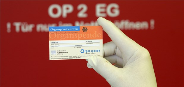 Ein Fünftel mehr Organspender Der Organspendeausweis: Transplantationsmediziner wollen erreichen, dass sich jeder mit dem Thema Organspende auseinandersetzen muss.