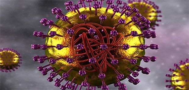 Taliban stoppen Impfungen in Afghanistan Der Polio-Virus: Das Impfverbot der Taliban gegen Kinderlähmung könnte der Auslöschung der Krankheit einen empfindlichen Rückschlag versetzen.