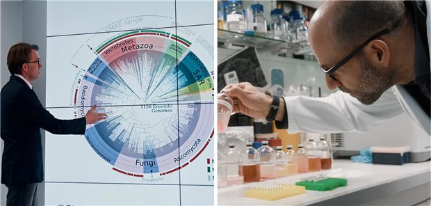 Ernst-Jung Preis für Medizin verliehen Der Stoffwechselforscher Professor Matthias Tschöp aus München (links) und der Naturstoffforscher Professor Christian Hertweck aus Jena erhalten gemeinsam den Ernst Jung-Preis für Medizin 2021.