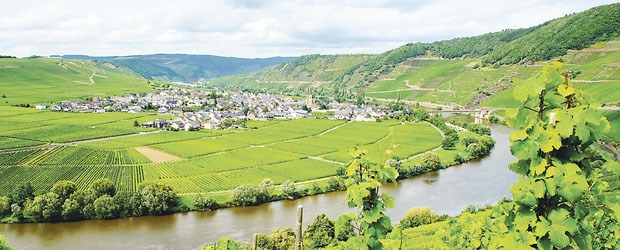 Ärzte, Kassen, Industrie: Gemeinsam gegen Ärztemangel Der Weinort Trittenheim an der Mosel ist Idylle pur – doch will sich hier ein junger Hausarzt niederlassen?