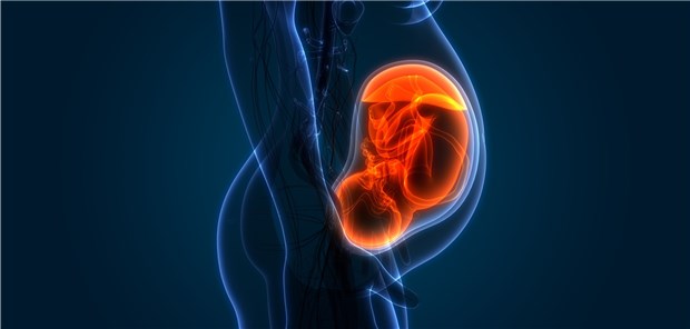 Frauenärzte kritisieren Medien-Berichte zu Misoprostol Der Wirkstoff Misoprostol ist das effektivste Medikament zur Geburtseinleitung und führt vor allem bei der oralen Anwendung zu weniger Kaiserschnitten als mit anderen Medikamenten, sagen Gynäkologen.