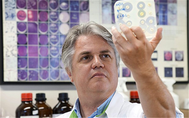 "Superkeim" ist superresistent, aber nicht supervirulent Der belgische Mikrobiologe Professor Denis Pierard hält eine Kultur mit Bakterien in der Hand. In seinem Labor untersucht er auch Bakterien mit NDM-1.