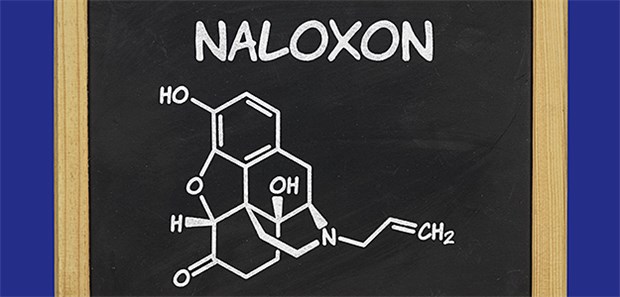 Mit Nasenspray gegen den Drogentod Der chemische Aufbau von Naloxon: Als Spray könnte es den Drogentod in vielen Fällen verhindern.