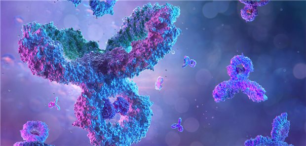 Dreidimensionaler Antikörper aus Immunoglobulin Domänen.