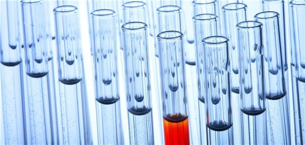 Der neu identifizierte HPV16-Tumormarker kann mit Hilfe eines einfachen Bluttests ausgewertet werden.