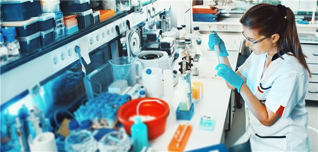 Ebola-Varianten schneller erkennen Der neue Test zum Nachweis der Ebolavirus-Variante basiert auf der Polymerase-Kettenreaktion (PCR).