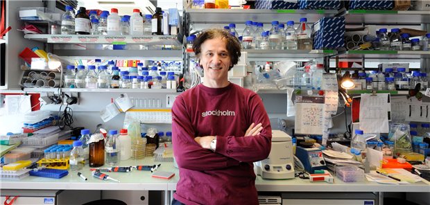 Österreichischer Genetiker neuer Chef des Helmholtz-Zentrums für Infektionsforschung Der renommierte Wissenschaftler Josef Penninger wechselt nach Braunschweig.