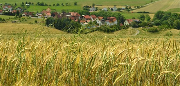 Kommunen locken Landärzte mit günstigen Bedingungen Der romantische Traum, Landarzt zu sein: Kommunen spielen gerne mit diesem - andere Aspekte werden aber immer wichtiger.