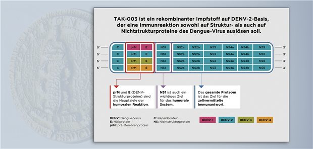 Der tetravalente Impfstoff TK-003 beinhaltet ein abgeschwächtes Dengue-Virus vom Serotyp 2 (DENV-2) und Komponenten der Serotypen DENV-1, -3 und -4. Er löst verschiedene Immunreaktionen aus, die zur Immunität führen.