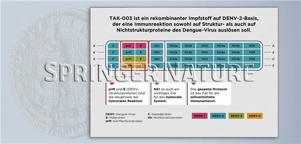 Dengue Fieber Impfung Wie Oft www.aerztezeitung.de