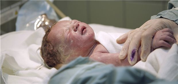 Derzeit gibt es nur wenige Studien, in denen untersucht wurde, ob sich das Virus im Mutterleib auf die ungeborenen Kinder überträgt – mit widersprüchlichen Ergebnissen.