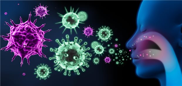 Darstellung: verschiedene Viren fliegen in das Schema der Atemwege einer Person