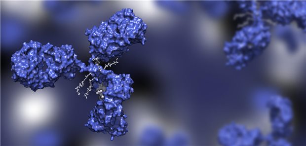 Symbolbild eines monoklonalen Antikörpers