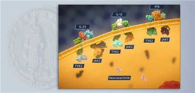 Deucravacitinib ist ein allosterischer Hemmer der Tyrosinkinase-2, die an der Signaltransduktion von Entzündungsmediatoren beteiligt ist. Diese Hemmung blockiert die Freisetzung proinflammatorischer Zytokine.