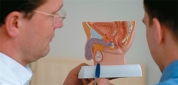 Zweitmeinung bei Hodentumor verändert oft die Therapie Diagnoseabsicherung bei Hodenkrebs: Sowohl Klinikärzte als auch niedergelassene Urologen können ihre Befunde im Onlineportal des Zweitmeinungsnetzwerkes Hodentumor eingeben.